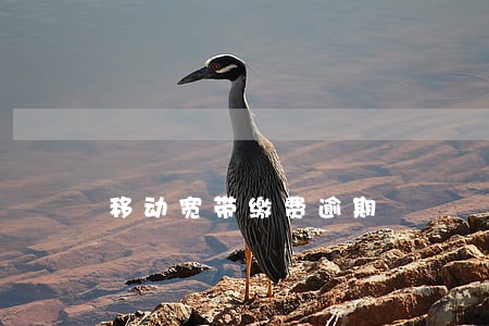 移动宽带缴费逾期 移动宽带缴费逾期