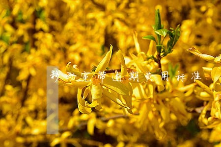移动宽带逾期费用标准 移动宽带逾期费用标准