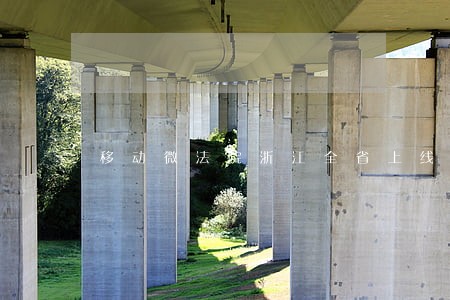 移动微法院浙江全省上线 移动微法院浙江全省上线