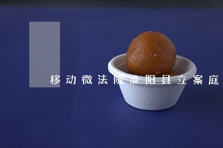 移动微法院淮阳县立案庭
