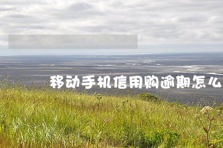 移动手机信用购逾期怎么还款 移动手机信用购逾期怎么还款