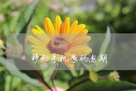 移动手机号码逾期 移动手机号码逾期