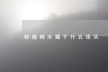 移植树木属于什么违法 移植树木属于什么违法