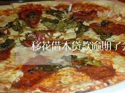 移花借木贷款逾期了会怎样 移花借木贷款逾期了会怎样