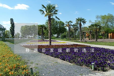 移送后发现新的违法 移送后发现新的违法