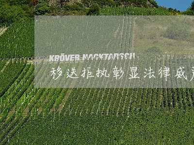 移送拒执彰显法律威严 移送拒执彰显法律威严