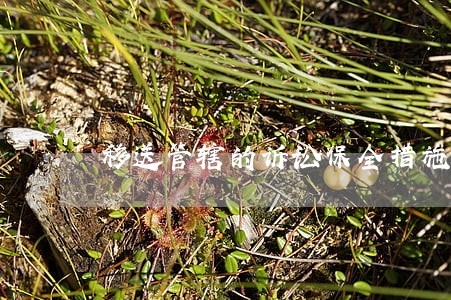 移送管辖的诉讼保全措施 移送管辖的诉讼保全措施