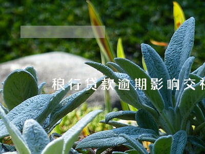 稂行贷款逾期影响交社保吗 稂行贷款逾期影响交社保吗