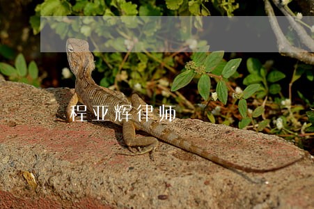 程亚辉律师 程亚辉律师