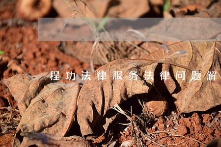程功法律服务法律问题解答 程功法律服务法律问题解答