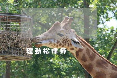 程劲松律师 程劲松律师