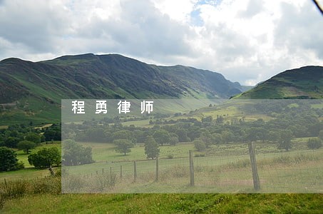 程勇律师