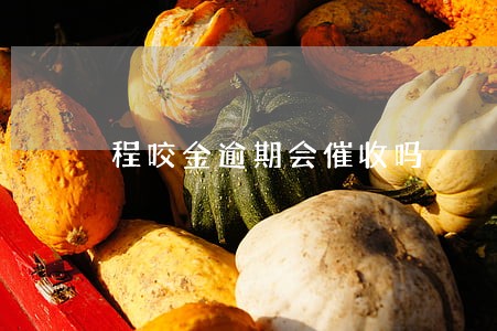 程咬金逾期会催收吗 程咬金逾期会催收吗