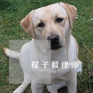 程子毅律师