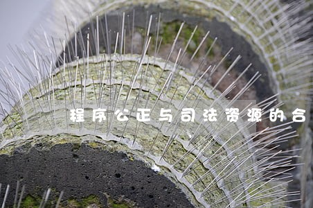 程序公正与司法资源的合理配置 程序公正与司法资源的合理配置