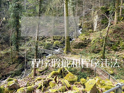 程序瑕疵和程序违法
