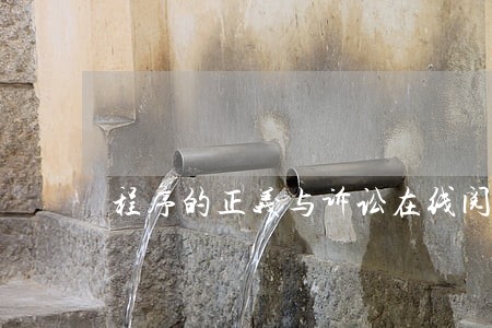 程序的正义与诉讼在线阅读