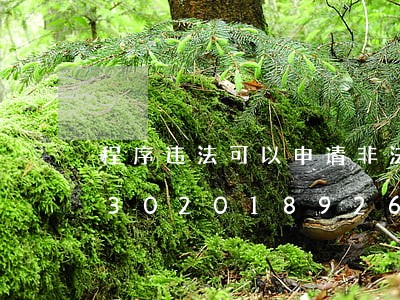 程序违法可以申请非法证据排除吗/2023020189260 程序违法可以申请非法证据排除吗/2023020189260