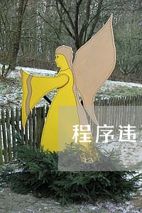 程序违法当然违法