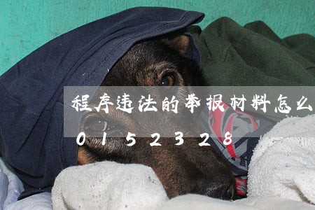 程序违法的举报材料怎么写/2023020152328 程序违法的举报材料怎么写/2023020152328