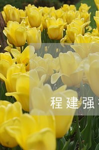 程建强律师