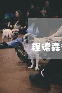 程德森律师 程德森律师