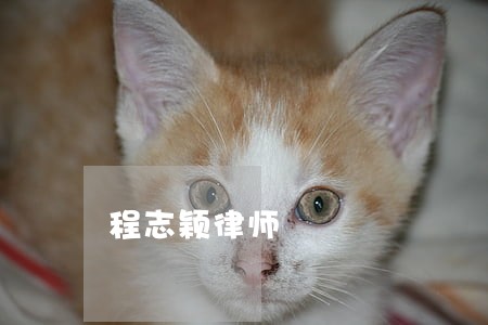 程志颖律师 程志颖律师