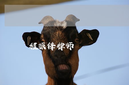 程振锋律师