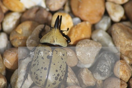 程涛坚法院起诉 程涛坚法院起诉