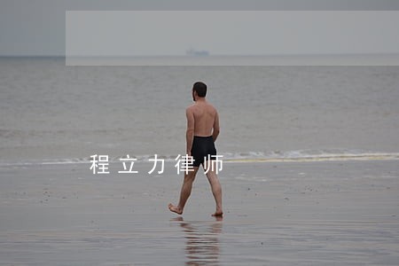 程立力律师