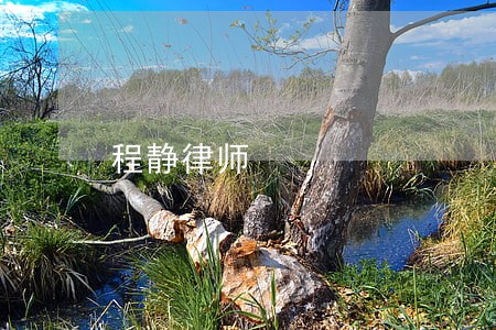 程静律师 程静律师