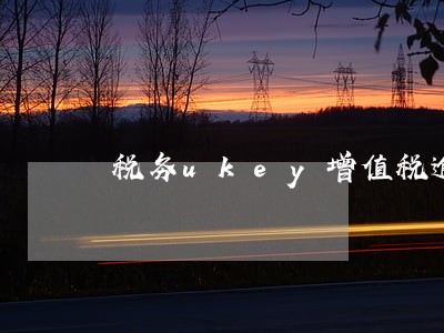 税务ukey增值税逾期未上报 税务ukey增值税逾期未上报