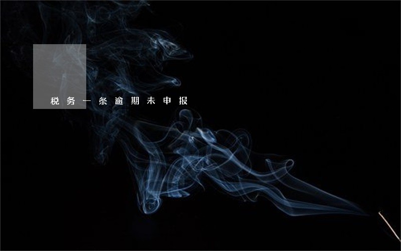 税务一条逾期未申报 税务一条逾期未申报