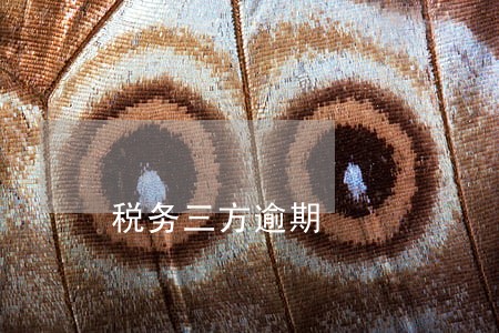 税务三方逾期