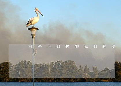 税务上月逾期本月还能申报吗 税务上月逾期本月还能申报吗
