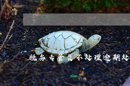税务专管员不处理逾期处罚 税务专管员不处理逾期处罚