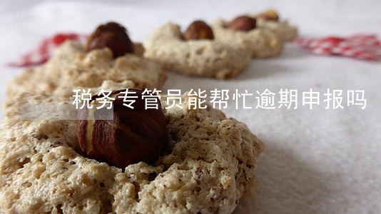 税务专管员能帮忙逾期申报吗 税务专管员能帮忙逾期申报吗