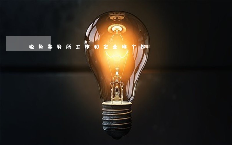 税务事务所工作和企业哪个好 税务事务所工作和企业哪个好