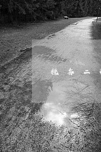 税务二次逾期申报是什么意思 税务二次逾期申报是什么意思