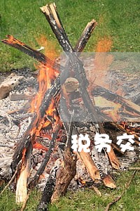 税务交社保存在逾期吗 税务交社保存在逾期吗