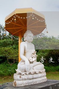 税务交税逾期了