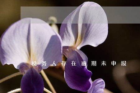 税务人存在逾期未申报 税务人存在逾期未申报