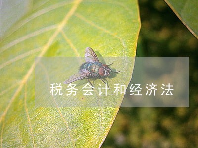 税务会计和经济法 税务会计和经济法
