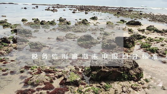 税务信用逾期未申报扣分标准 税务信用逾期未申报扣分标准