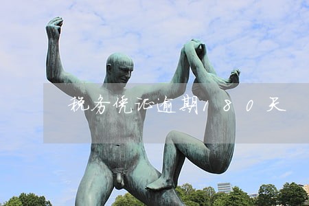 税务凭证逾期180天 税务凭证逾期180天