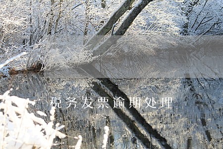 税务发票逾期处理 税务发票逾期处理
