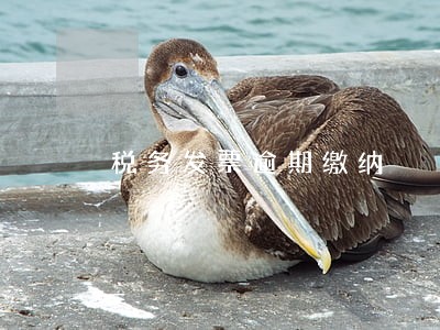税务发票逾期缴纳 税务发票逾期缴纳