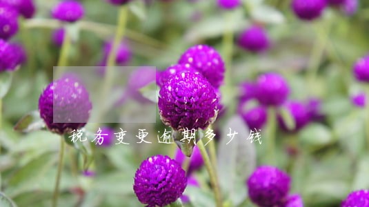 税务变更逾期多少钱 税务变更逾期多少钱