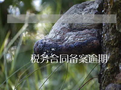 税务合同备案逾期 税务合同备案逾期