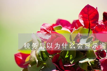 税务后以为什么会显示逾期 税务后以为什么会显示逾期